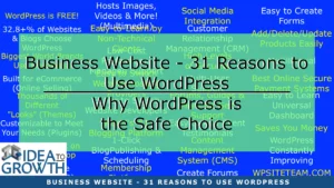 BUSINESS WEBSITE - 31 REASONS TO USE WORDPRESS​