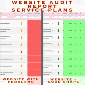 WEBSITE AUDIT SERVICE